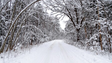 Природа Смоленщины 
