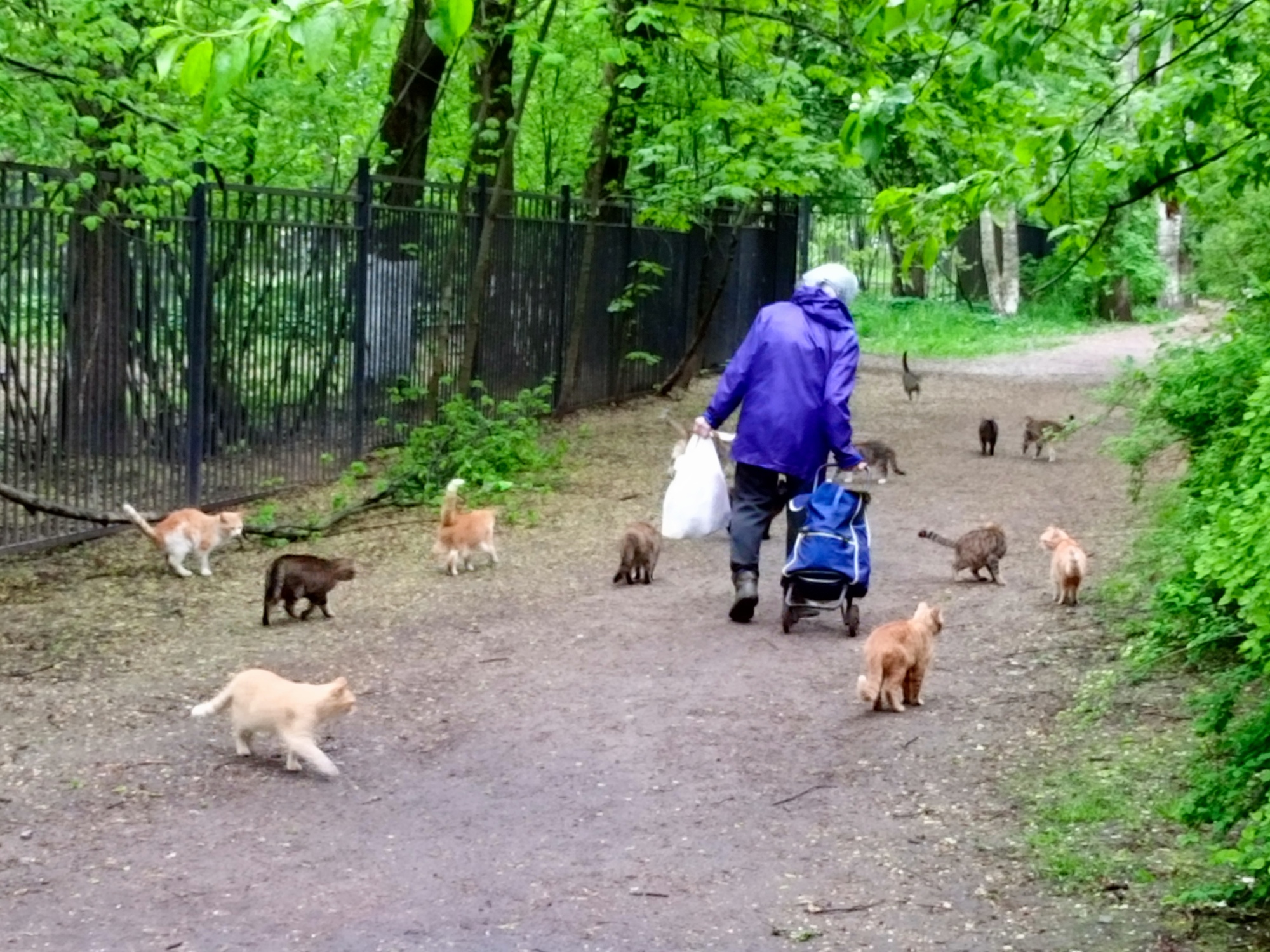 Окружают