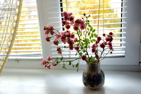 Натюрморт на окне.