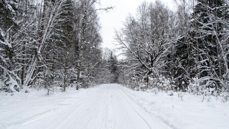 Природа Смоленщины 