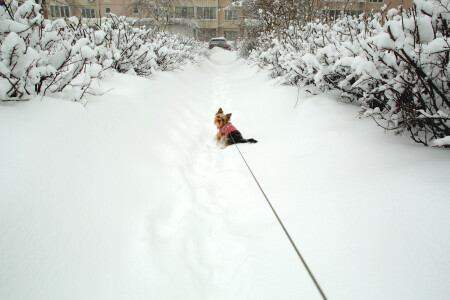 Хочу домой!