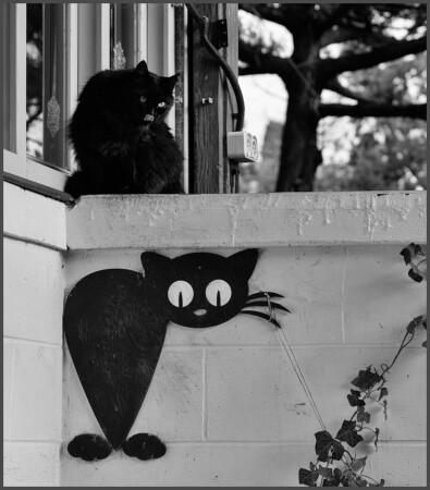 У автопортрета...