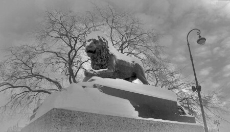 Лев у Адмиралтейства