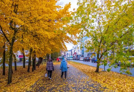Осень в Архангельске