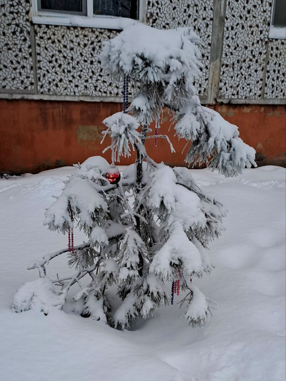 Скоро весна )))