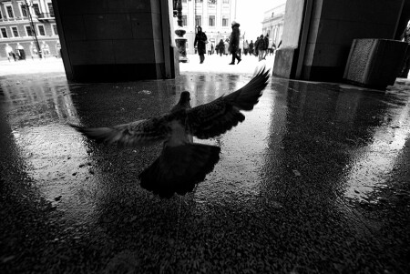 А судьи КТО?