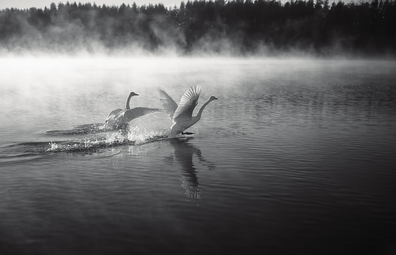....