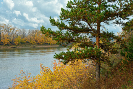 Река Томь