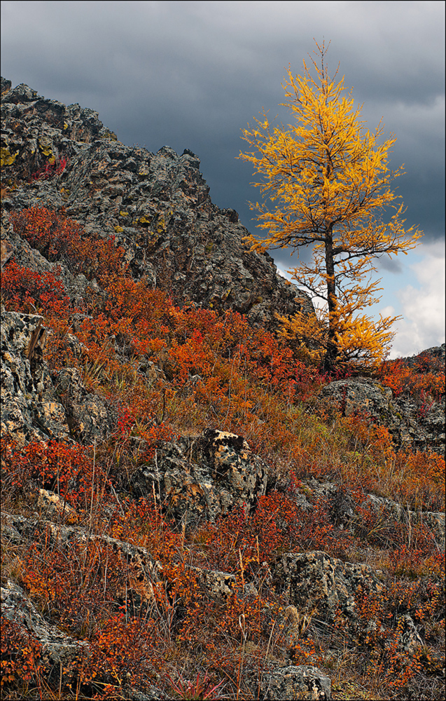 Осень