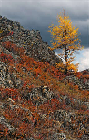 Осень