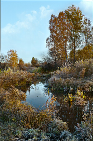 Первый заморозок