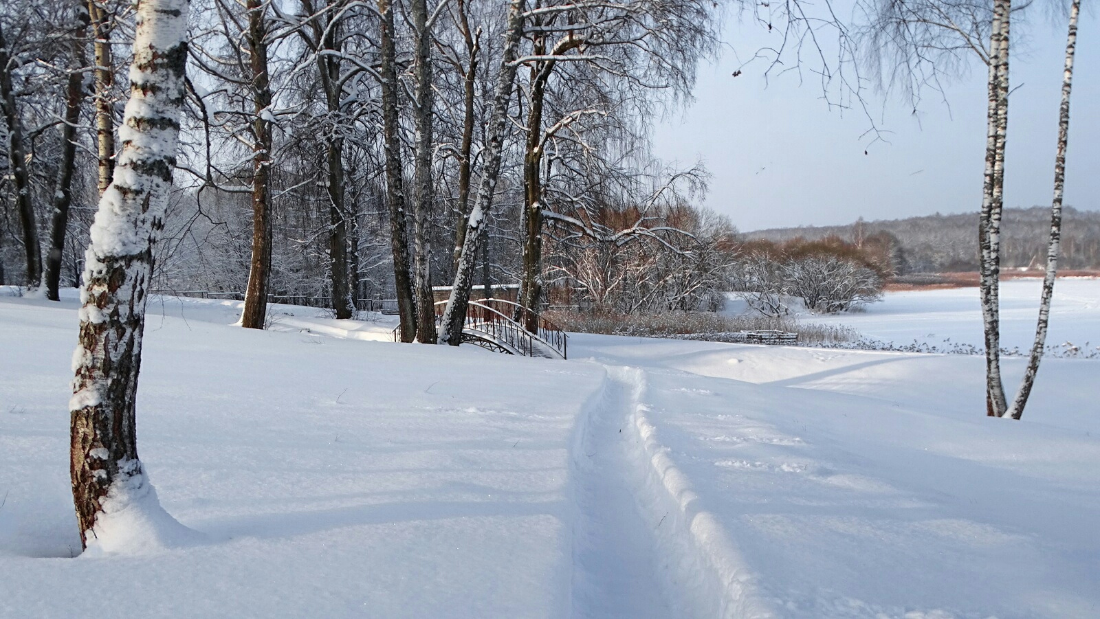 Природа Смоленщины 