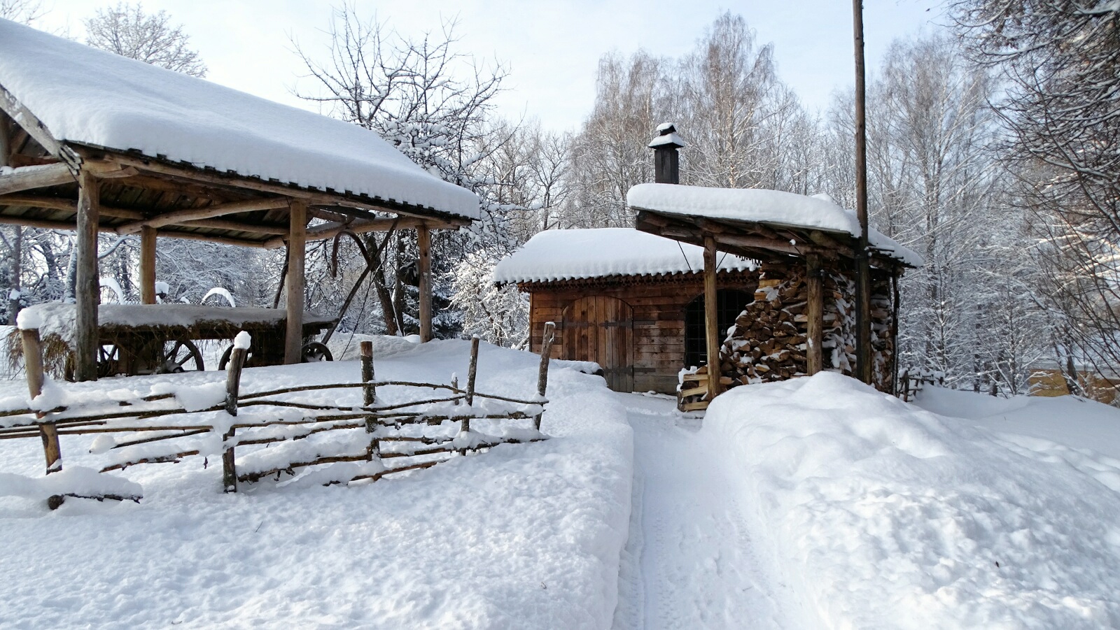 Природа Смоленщины 