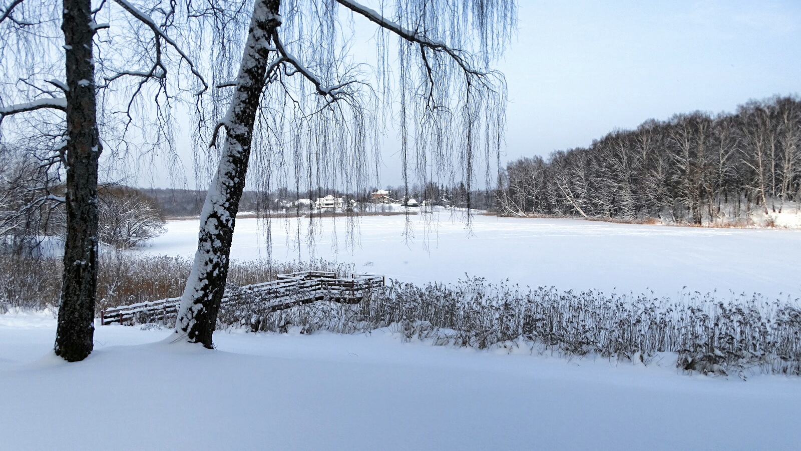Природа Смоленщины 