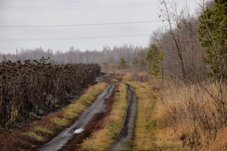 Унылая осень