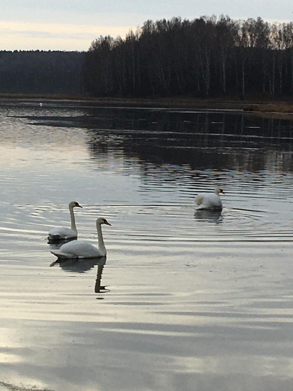Скоро в полет