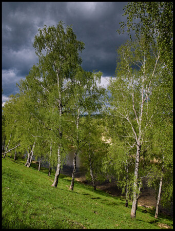 Перед закатом