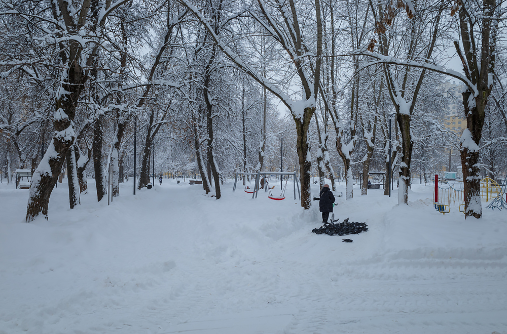 Зима в городе