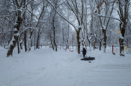 Зима в городе