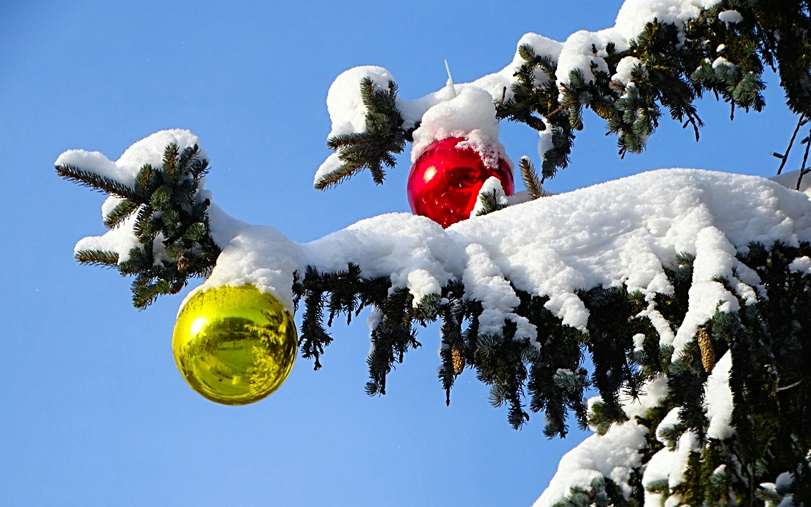 Смоленск 