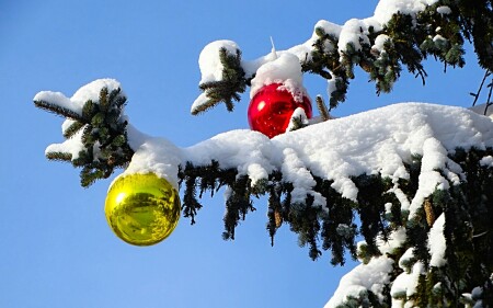 Смоленск 