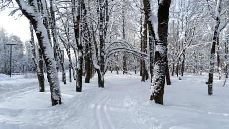 Смоленск 