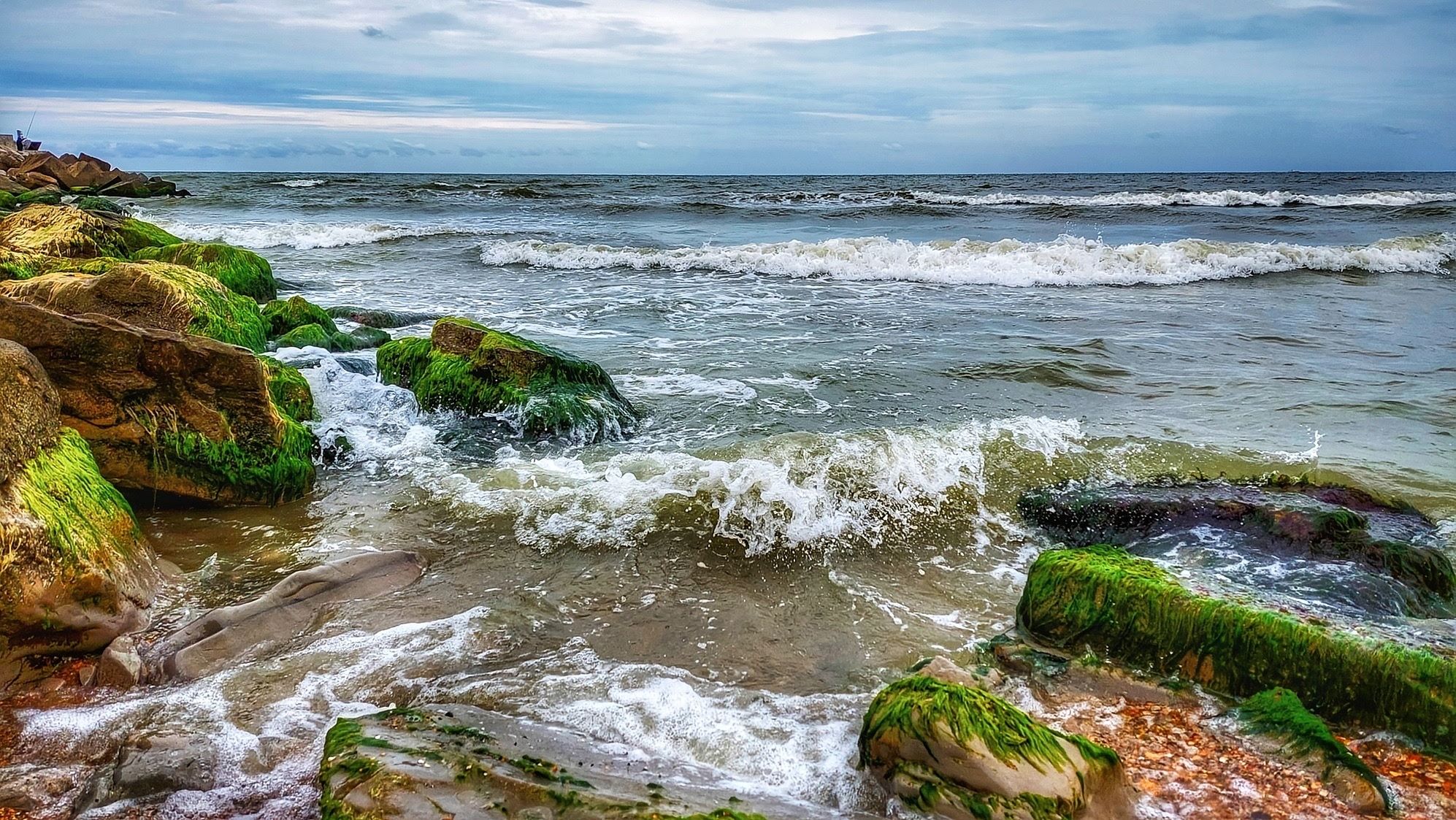 «Каспийское море» раздел «». «»
