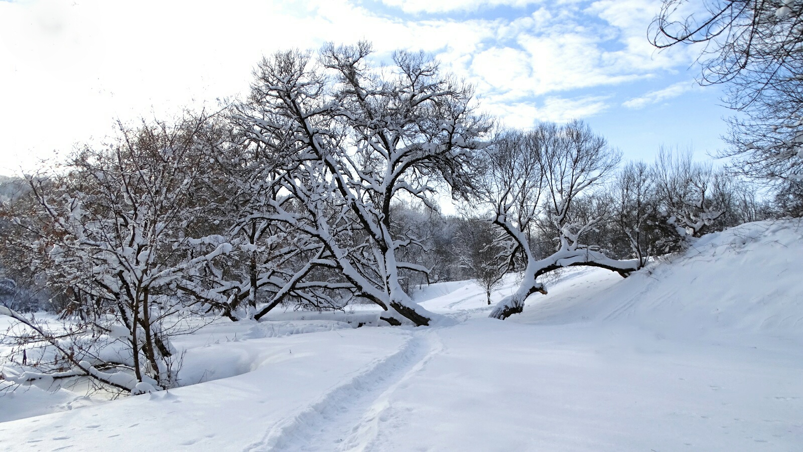 Смоленск 
