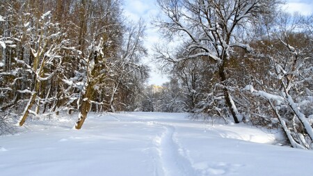 Природа Смоленщины 