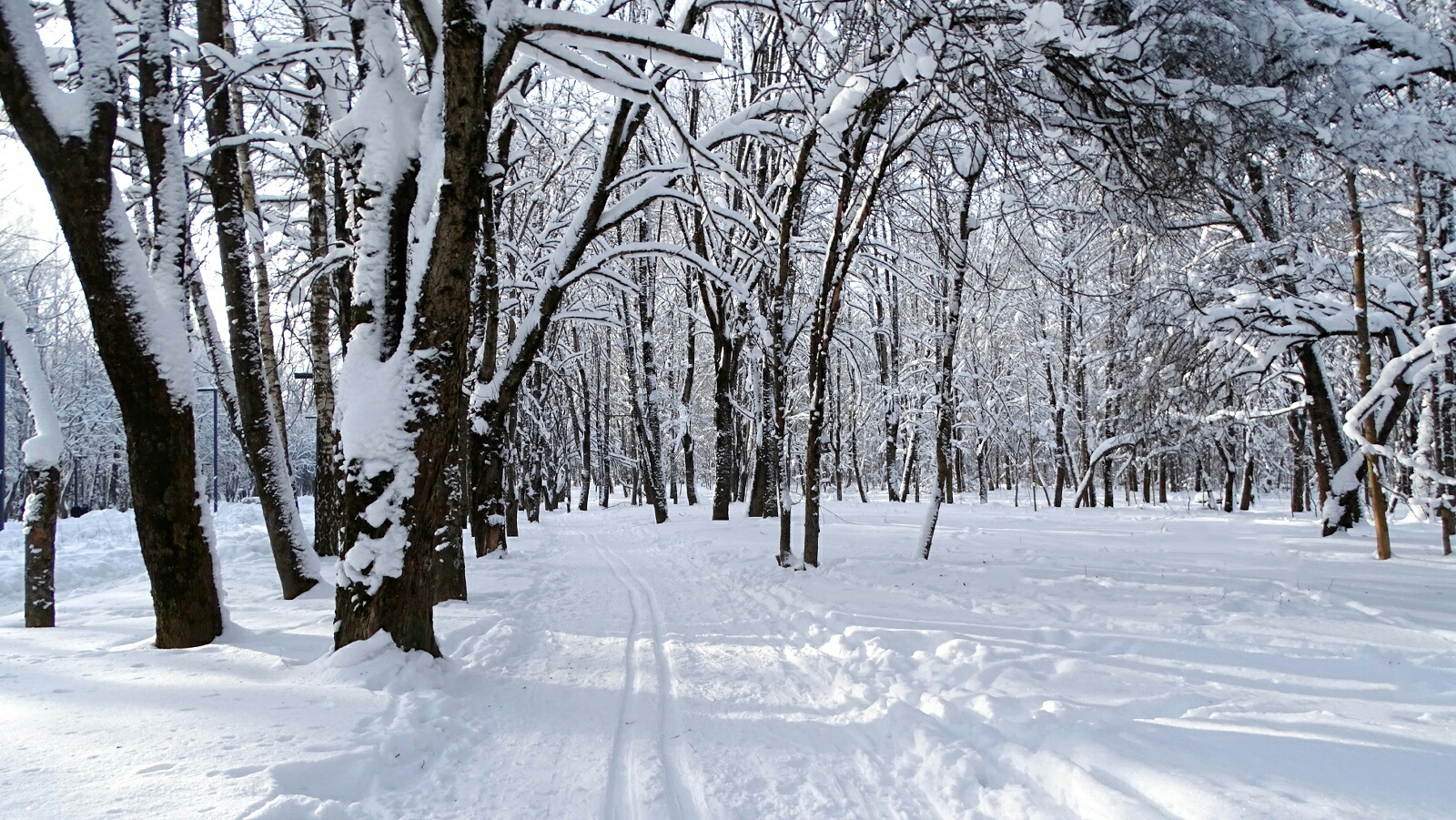 Смоленск 