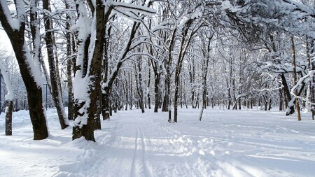 Смоленск 