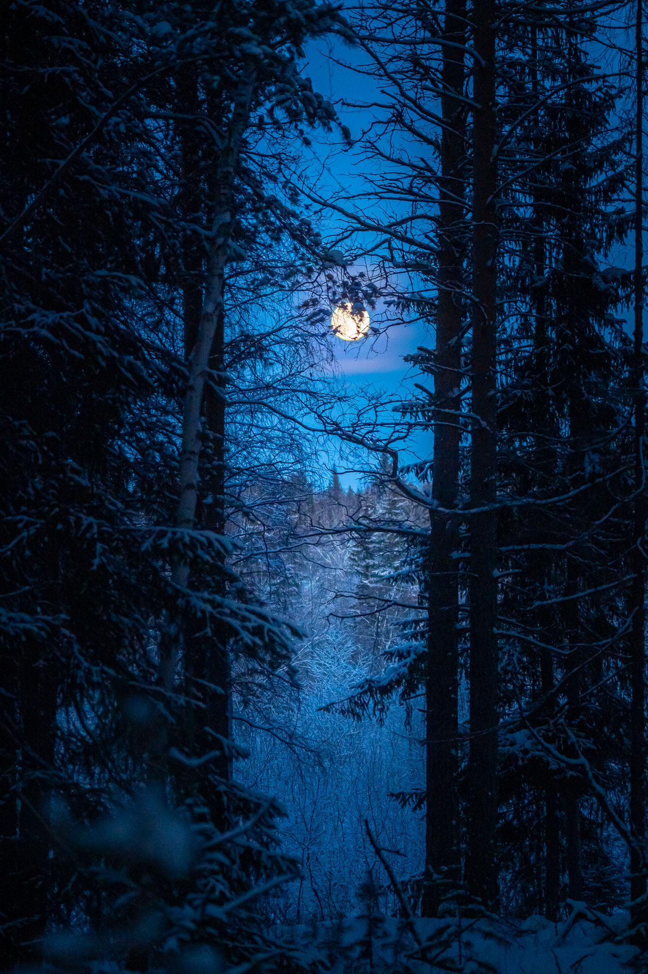 Полнолуние
