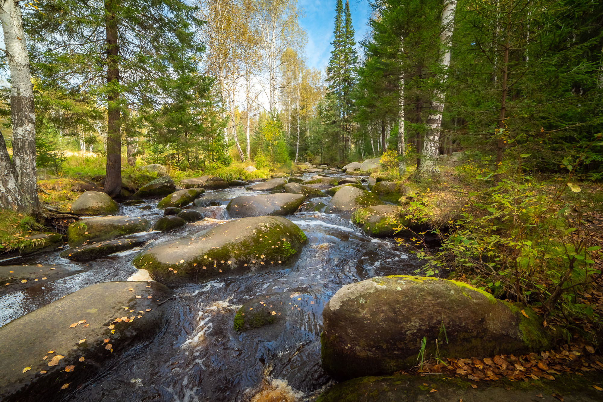 Осень на реке