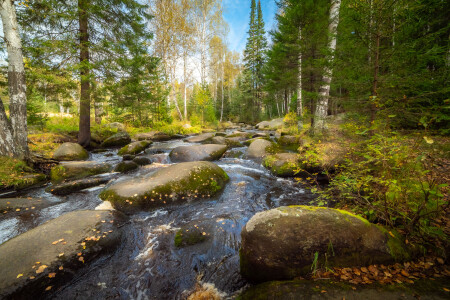 Осень на реке