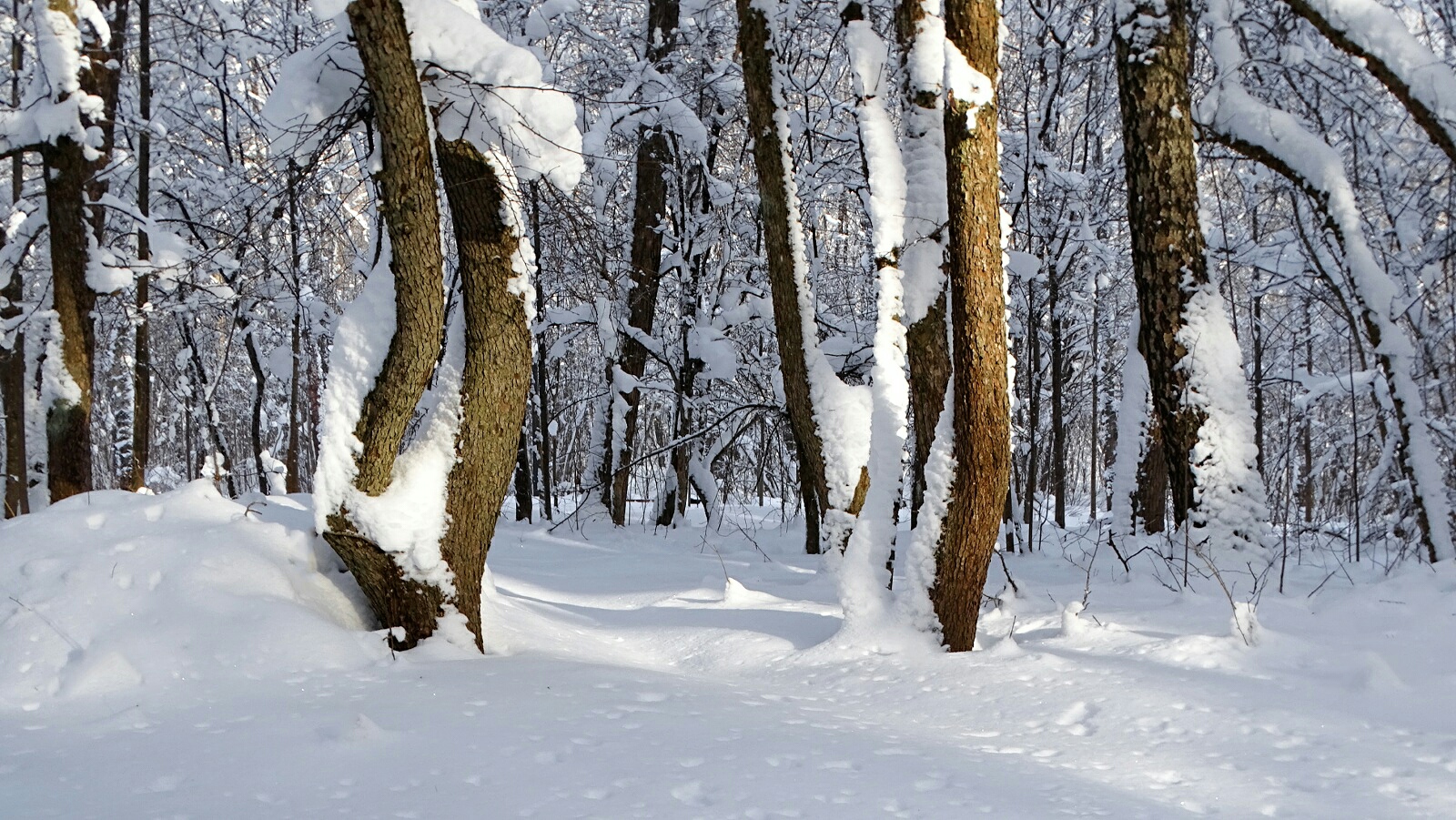 Смоленск 
