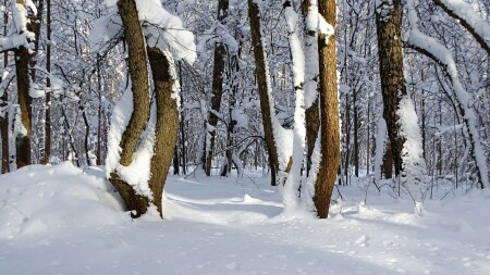 Смоленск 
