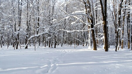 Смоленск 