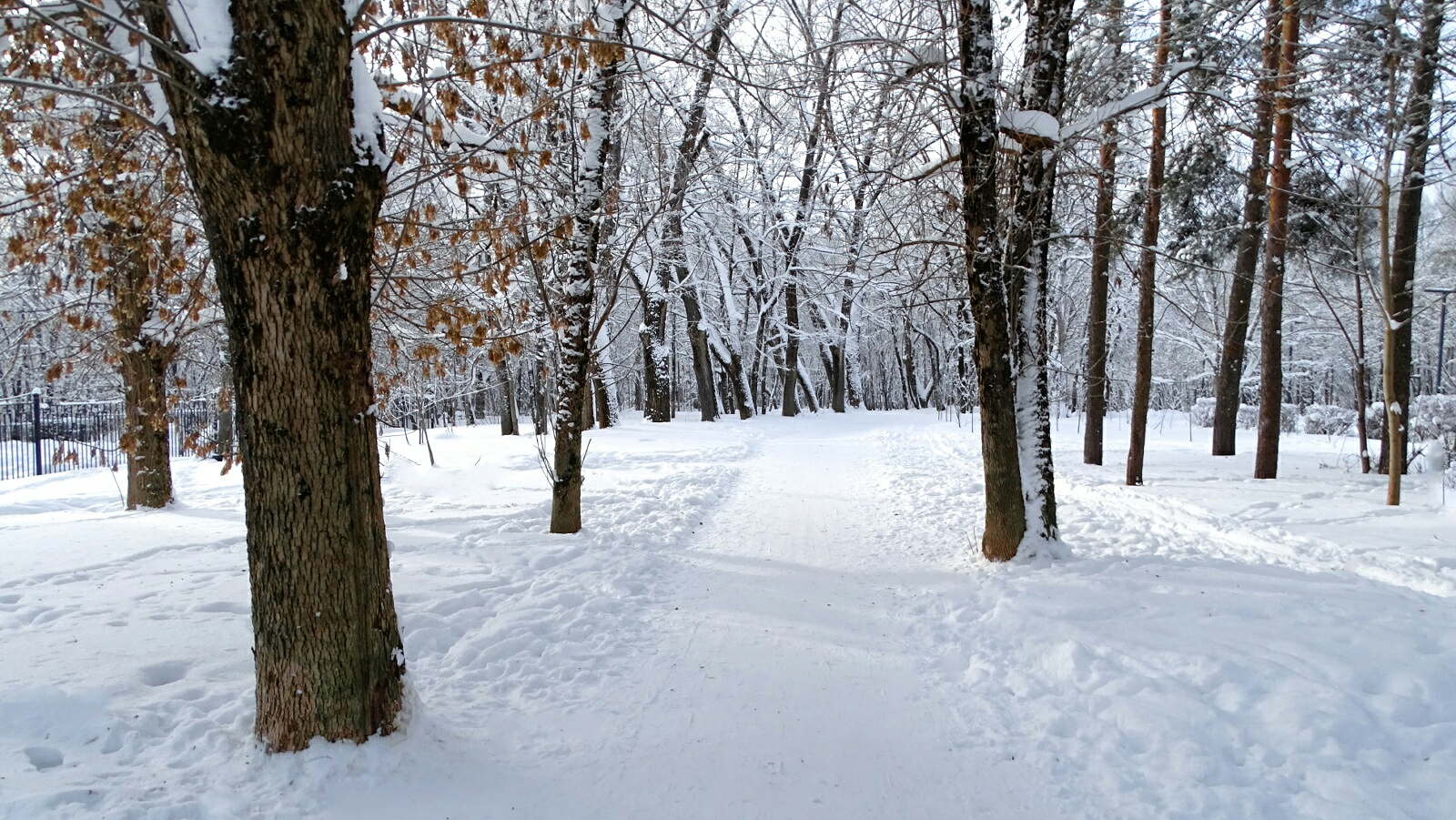 Смоленск 