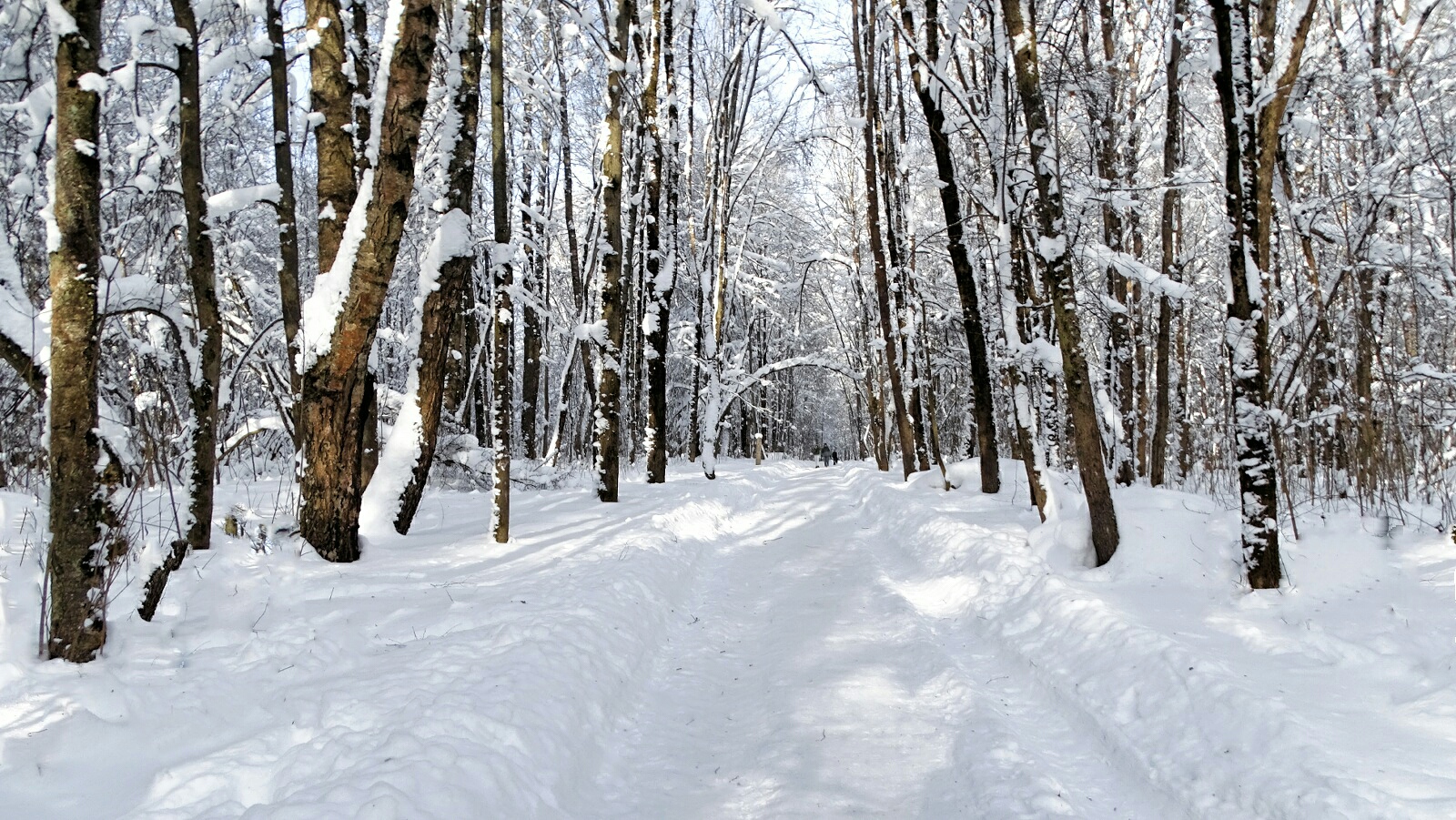 Природа Смоленщины 