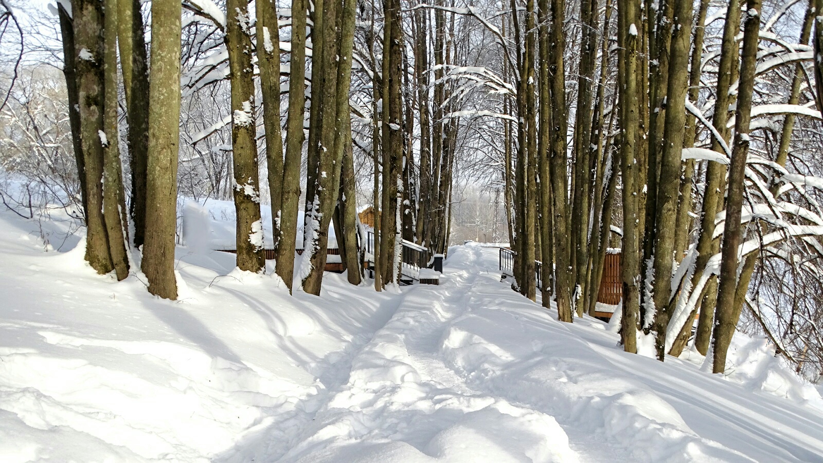 Смоленск 
