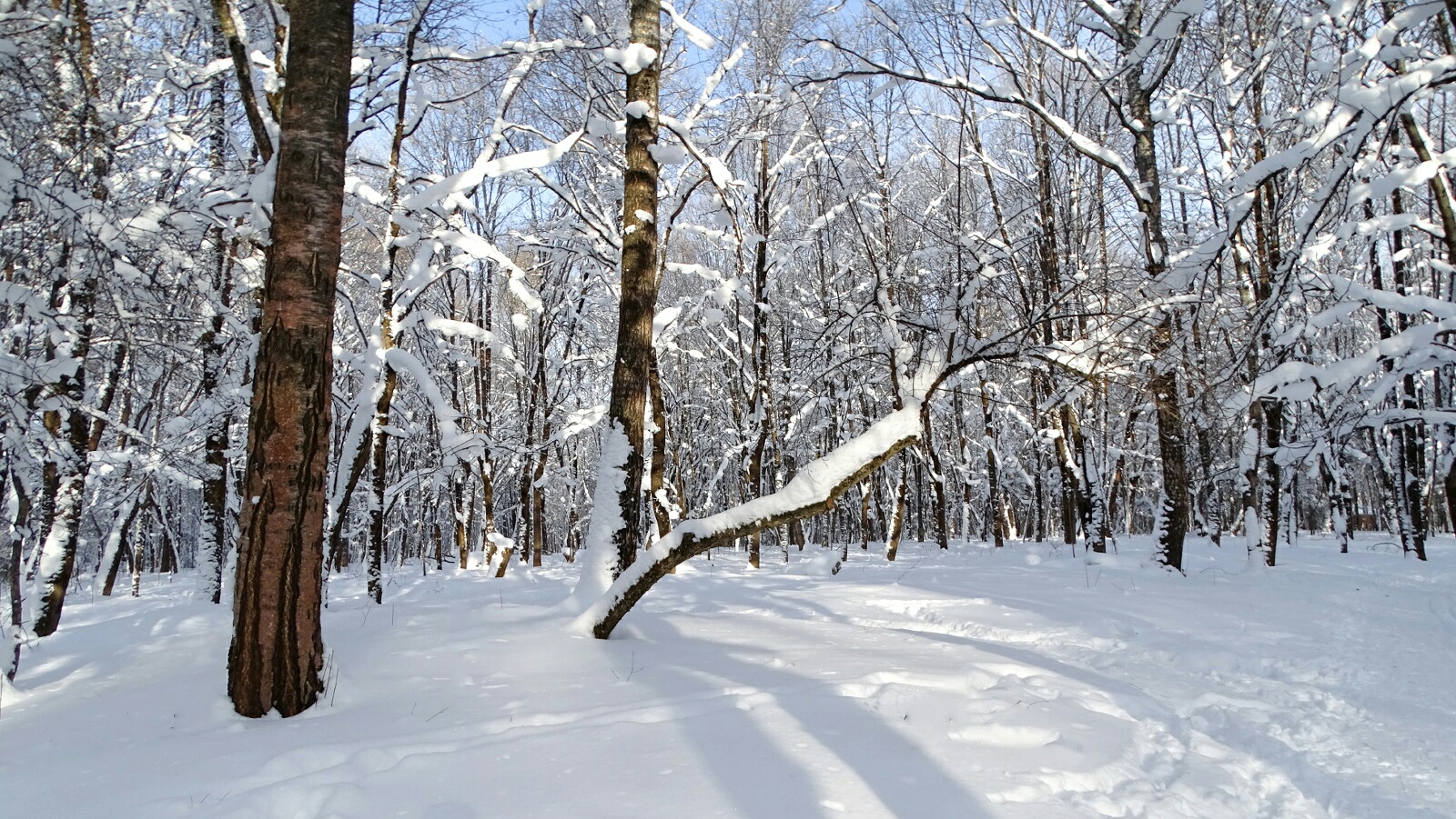 Смоленск 