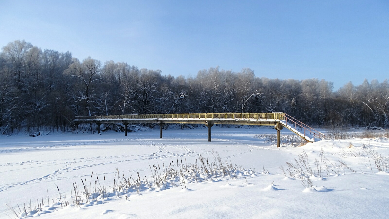 «Природа Смоленщины» раздел «Природный пейзаж». «Смоленская область, д.Нижняя Дубровенка, 17.01.2026»