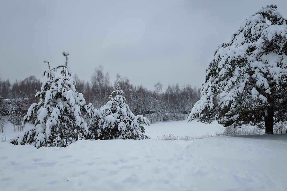 Снежная природа