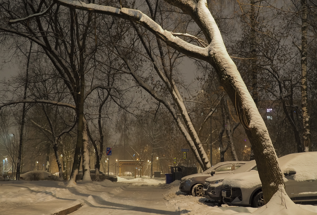 Вечерний Город