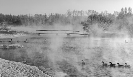 Морозное утро...