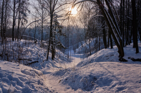 Зимний день 15