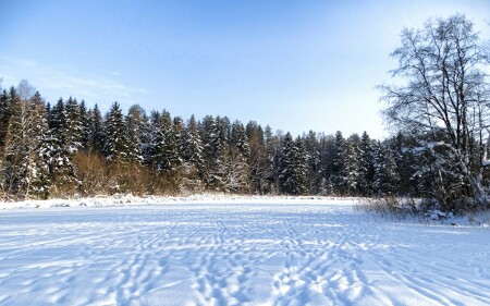 Природа Смоленщины 