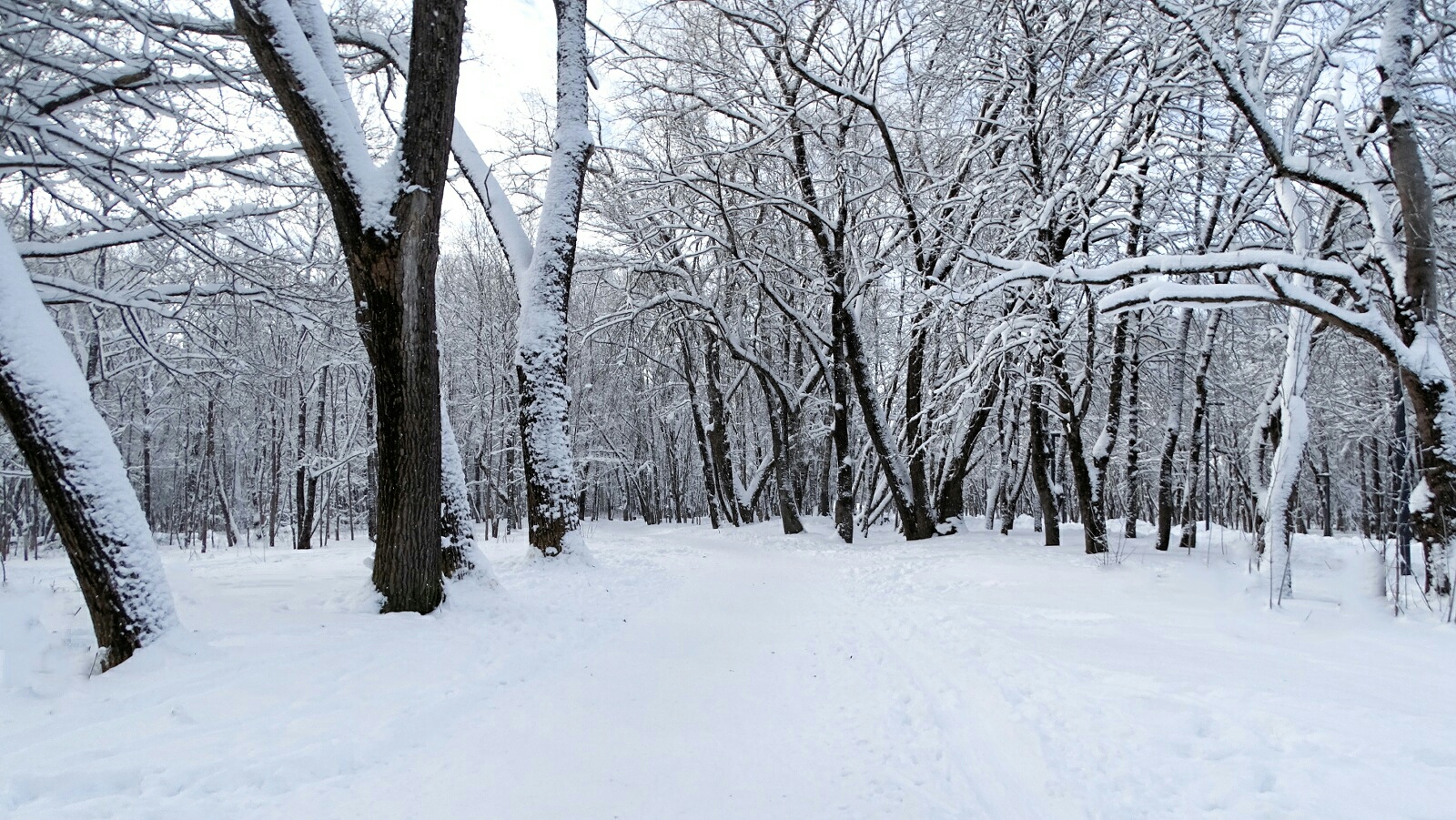 Природа Смоленщины 