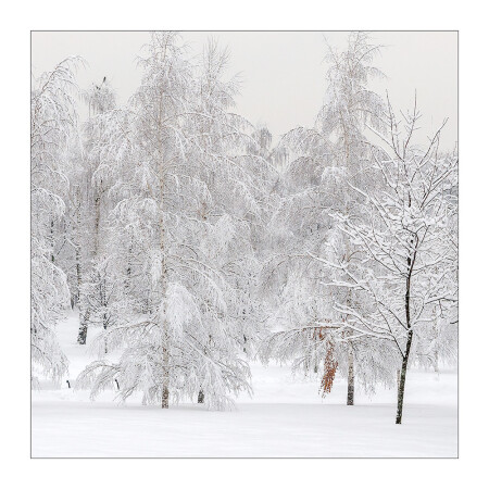 Осенняя прядь