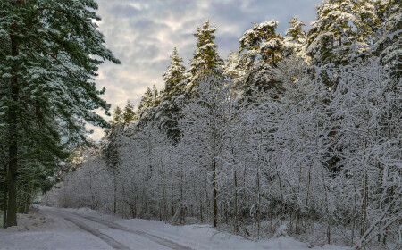 немного солнца